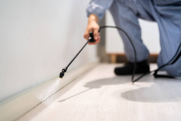 Bed Bug Pre-Treatment Preparation Assessment in West Menlo Park
