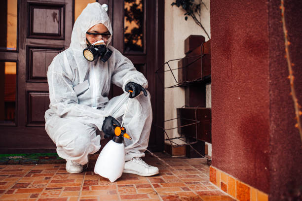 Multi-Unit and Airbnb Bed Bug Protocol in West Menlo Park